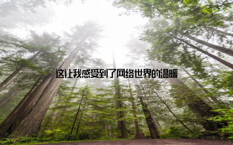 这让我感受到了网络世界的温暖