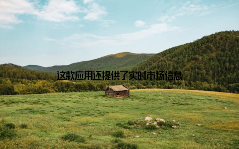 这款应用还提供了实时市场信息
