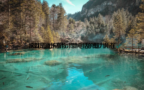 这就是潍坊畜牧求助电话的魅力所在