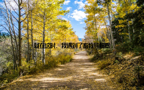 就在这时, 我遇到了畜牧导航器
