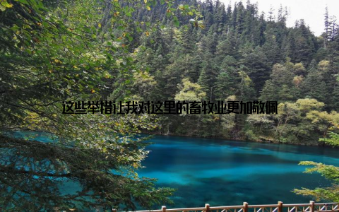 这些举措让我对这里的畜牧业更加敬佩