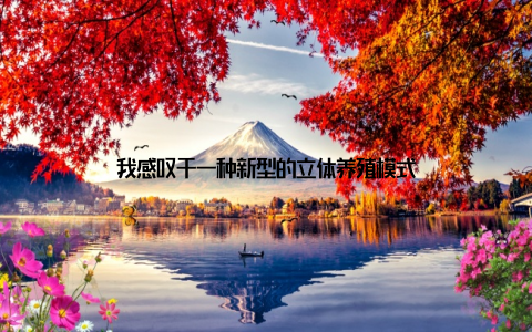 我感叹于一种新型的立体养殖模式