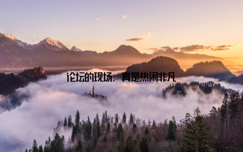 论坛的现场, 真是热闹非凡