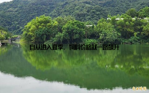 自从进入夏季, 饲料价格就一路飙升