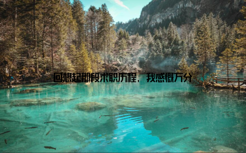 回想起那段求职历程, 我感慨万分