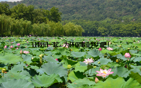 让我们一起, 为环保事业努力吧!