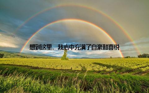 想到这里, 我心中充满了自豪和喜悦