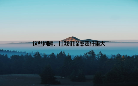 这些问题, 让我们深感责任重大