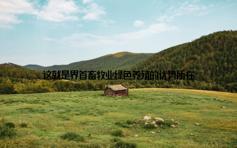 这就是界首畜牧业绿色养殖的优势所在