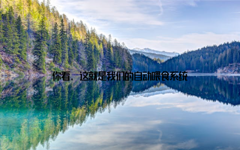 你看, 这就是我们的自动喂食系统