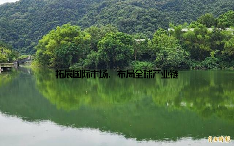 拓展国际市场, 布局全球产业链