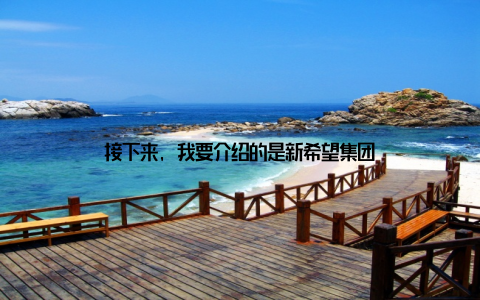 接下来, 我要介绍的是新希望集团