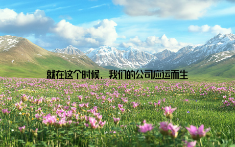 就在这个时候, 我们的公司应运而生