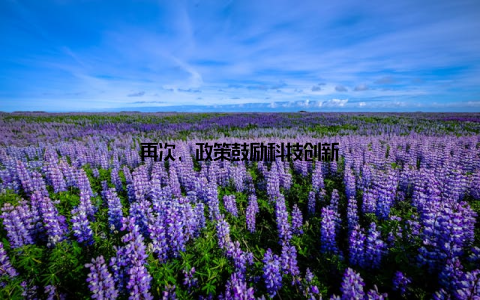 再次, 政策鼓励科技创新