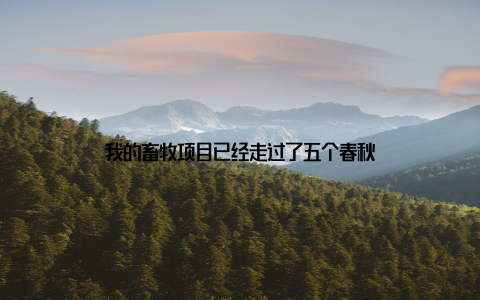 我的畜牧项目已经走过了五个春秋