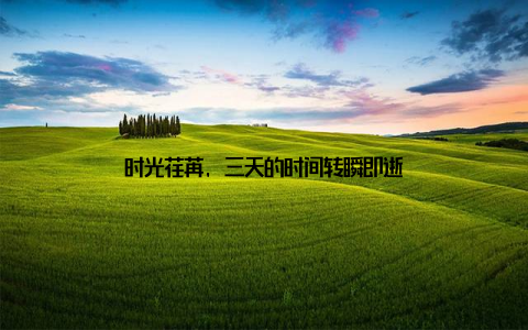 时光荏苒, 三天的时间转瞬即逝
