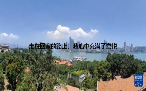 走在回家的路上, 我心中充满了喜悦