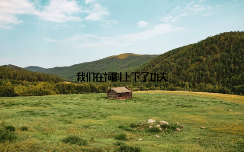 我们在饲料上下了功夫