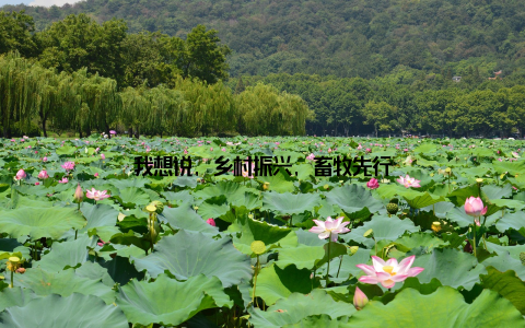 我想说, 乡村振兴, 畜牧先行
