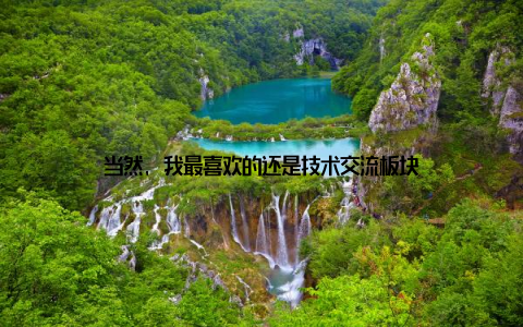 当然, 我最喜欢的还是技术交流板块