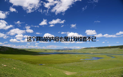 这个网站的内容也是让我惊喜不已