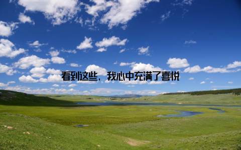 看到这些, 我心中充满了喜悦