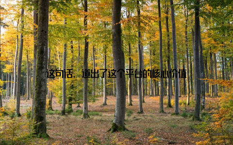 这句话, 道出了这个平台的核心价值