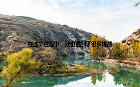 在这个过程中, 我也遇到了很多挑战