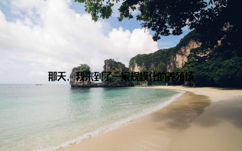 那天, 我来到了一家规模化的养殖场