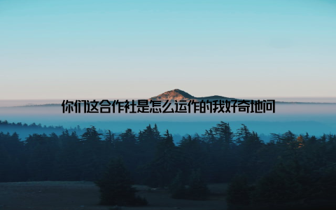 你们这合作社是怎么运作的我好奇地问