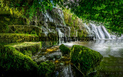 这些政策将有力推动畜牧业发展
