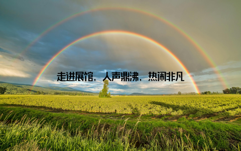走进展馆, 人声鼎沸, 热闹非凡