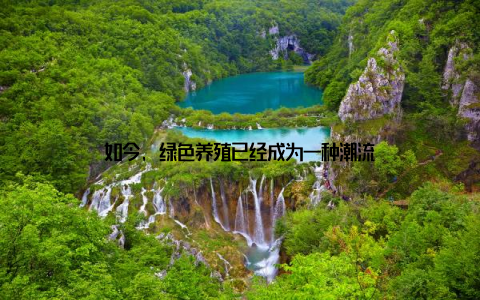 如今, 绿色养殖已经成为一种潮流