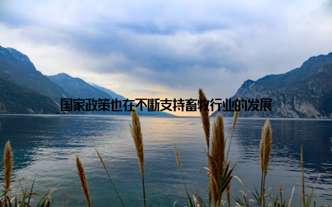 国家政策也在不断支持畜牧行业的发展