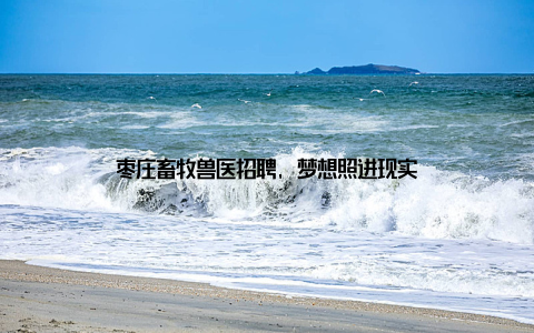 枣庄畜牧兽医招聘, 梦想照进现实