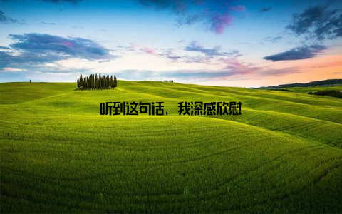 听到这句话, 我深感欣慰