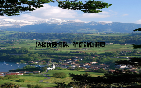 选择优质饲料, 确保动物健康