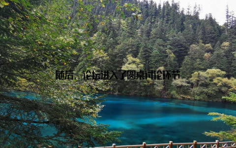 随后, 论坛进入了圆桌讨论环节