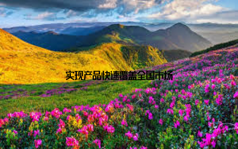 实现产品快速覆盖全国市场