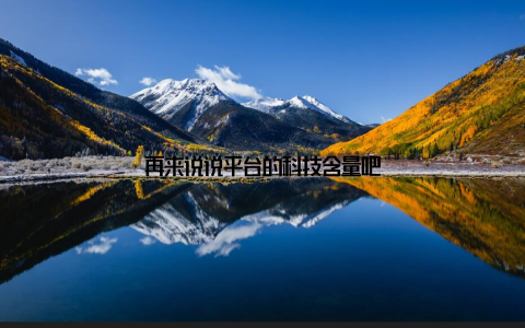 再来说说平台的科技含量吧