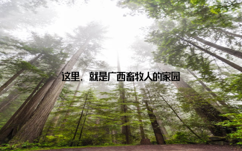 这里, 就是广西畜牧人的家园