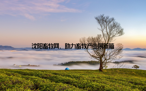 沈阳畜牧网, 助力畜牧产业展新篇