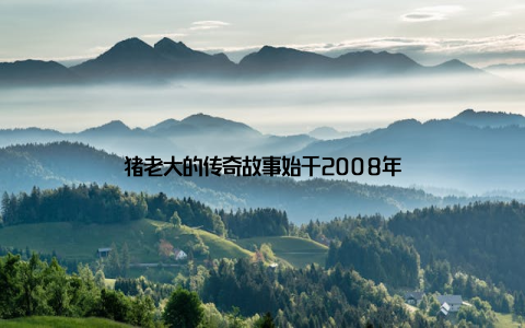 猪老大的传奇故事始于2008年