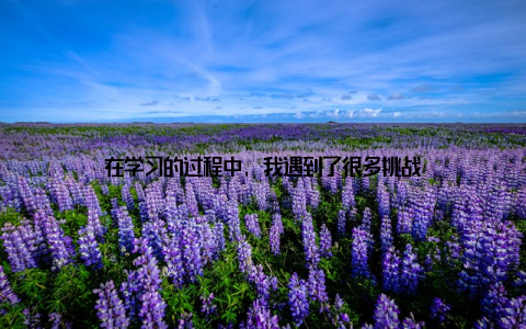 在学习的过程中, 我遇到了很多挑战
