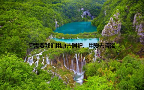 它需要我们用心去呵护, 用爱去浇灌