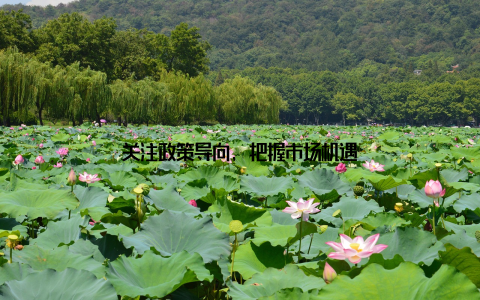 关注政策导向, 把握市场机遇