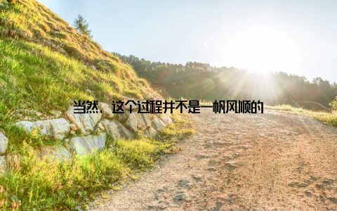 当然, 这个过程并不是一帆风顺的