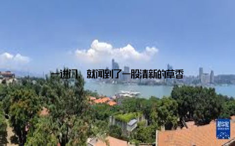 一进门, 就闻到了一股清新的草香