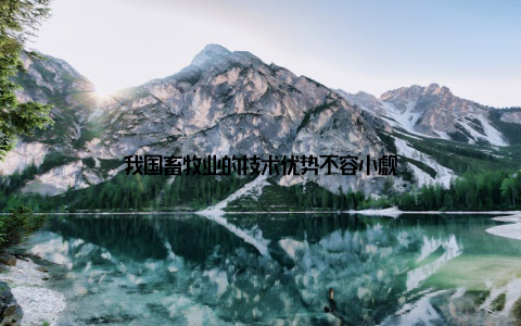 我国畜牧业的技术优势不容小觑