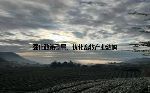 强化政策引导, 优化畜牧产业结构
